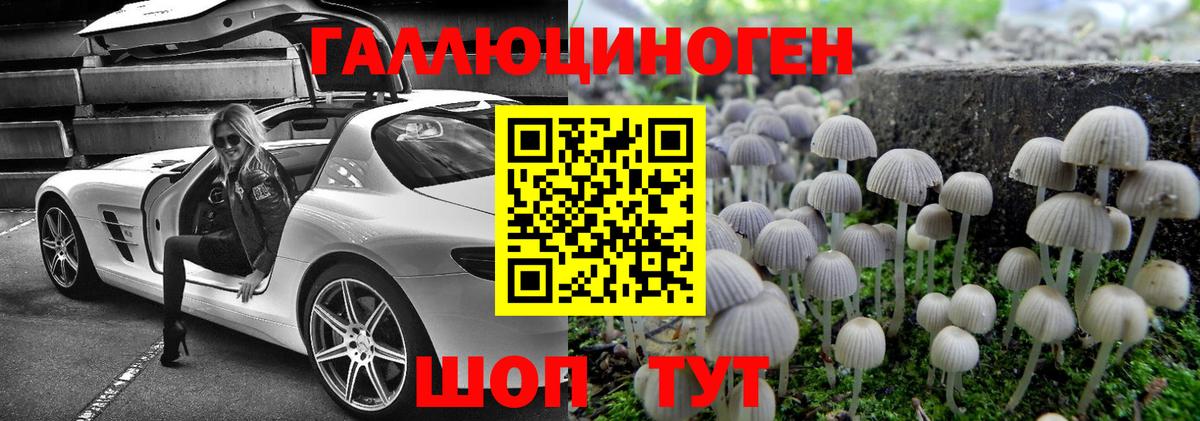 Псилоцибиновые грибы мухоморы  хочу   Ачхой-Мартан  Вход с VPN 
